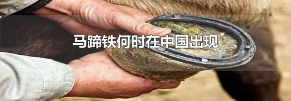 马蹄铁何时在中国出现