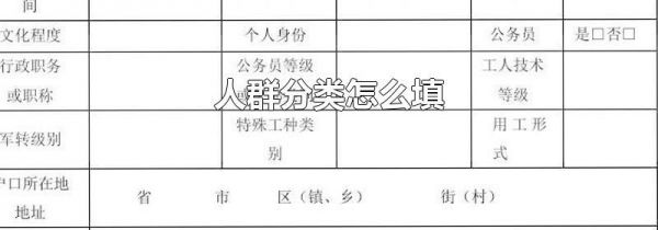 人群分类怎么填