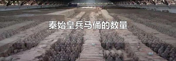 秦始皇兵马俑的数量
