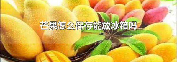 芒果怎么保存能放冰箱吗