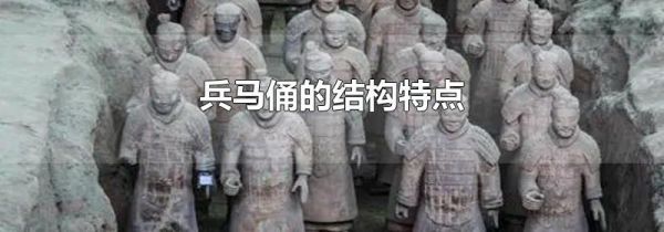 兵马俑的结构特点