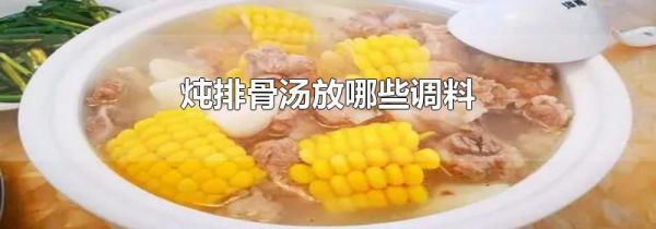 炖排骨汤放哪些调料
