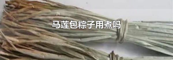 马莲包粽子用煮吗
