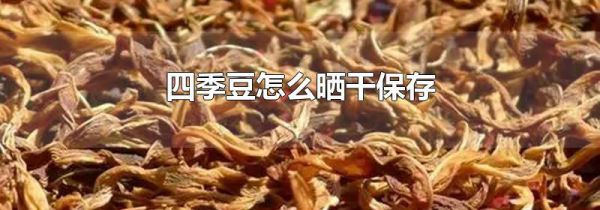四季豆怎么晒干保存