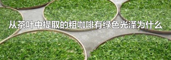 从茶叶中提取的粗咖啡有绿色光泽为什么