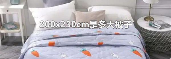 200x230cm是多大被子