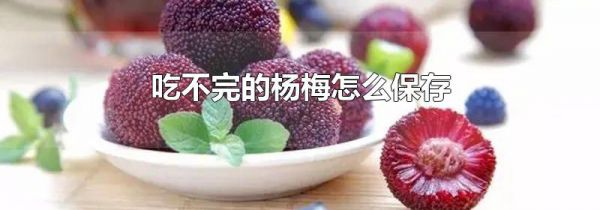 吃不完的杨梅怎么保存