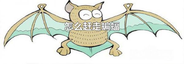 怎么赶走蝙蝠