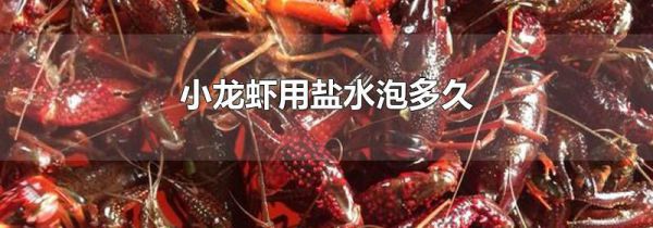 小龙虾用盐水泡多久