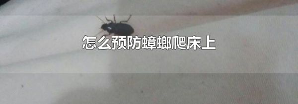 怎么预防蟑螂爬床上