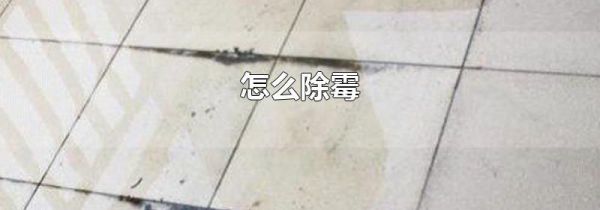 怎么除霉