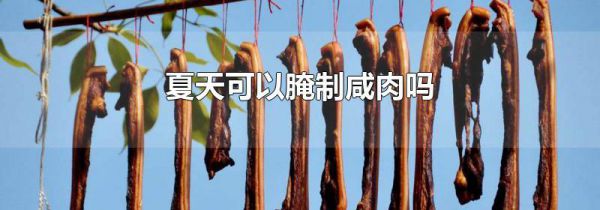 夏天可以腌制咸肉吗