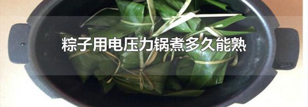 粽子用电压力锅煮多久能熟