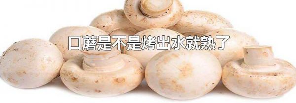 口蘑是不是烤出水就熟了