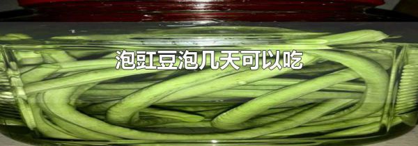 泡豇豆泡几天可以吃