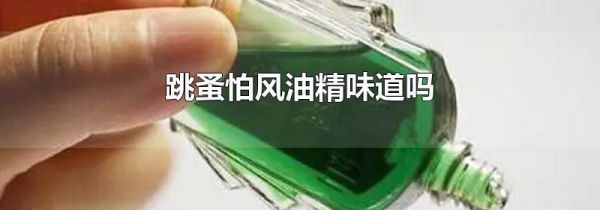 跳蚤怕风油精味道吗