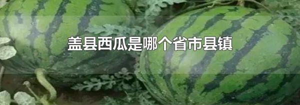 盖县西瓜是哪个省市县镇