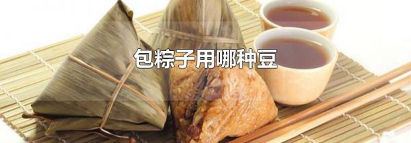 包粽子用哪种豆