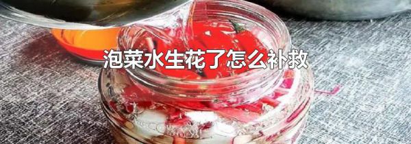 泡菜水生花了怎么补救