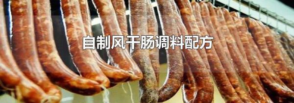 自制风干肠调料配方