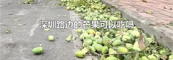 深圳路边的芒果可以吃吗