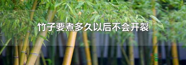 竹子要煮多久以后不会开裂