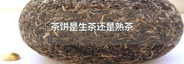 茶饼是生茶还是熟茶