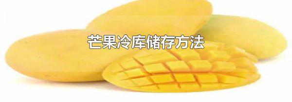 芒果冷库储存方法