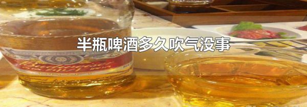 半瓶啤酒多久吹气没事