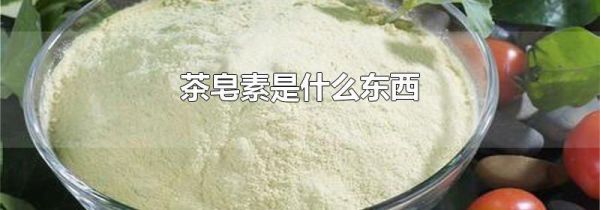 茶皂素是什么东西