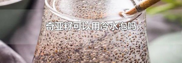奇亚籽可以用冷水泡吗