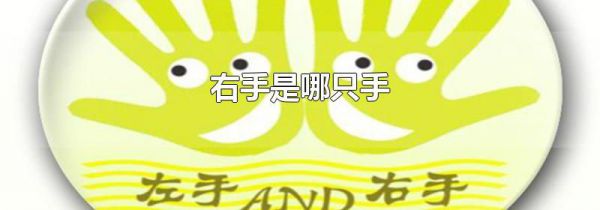 右手是哪只手
