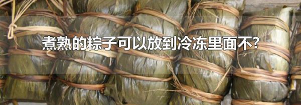 煮熟的粽子可以放到冷冻里面不?