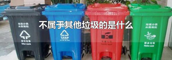 不属于其他垃圾的是什么