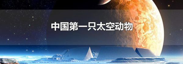 中国第一只太空动物