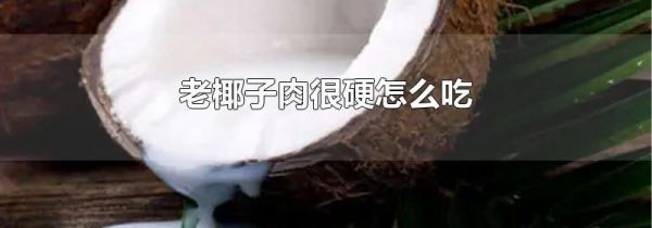 老椰子肉很硬怎么吃
