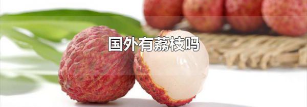 国外有荔枝吗