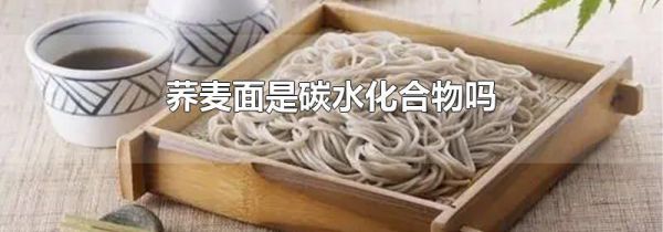 荞麦面是碳水化合物吗