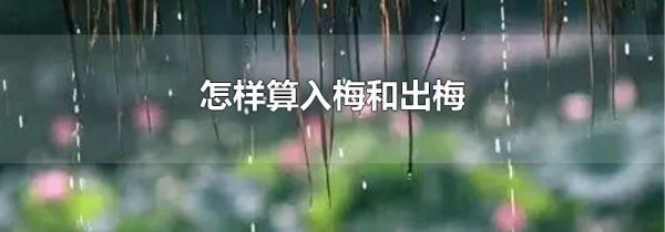 怎样算入梅和出梅