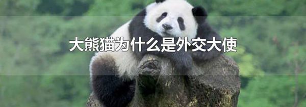 大熊猫为什么是外交大使
