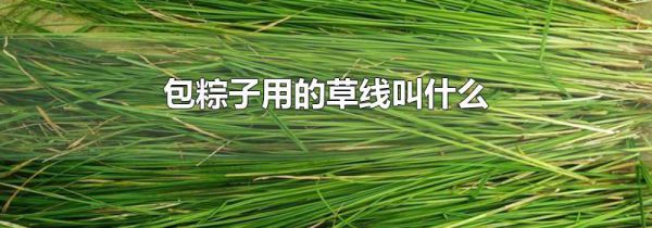包粽子用的草线叫什么