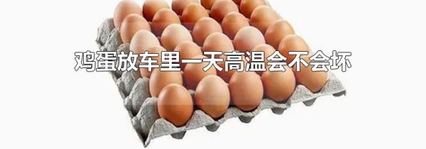 鸡蛋放车里一天高温会不会坏