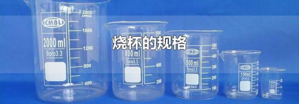 烧杯的规格