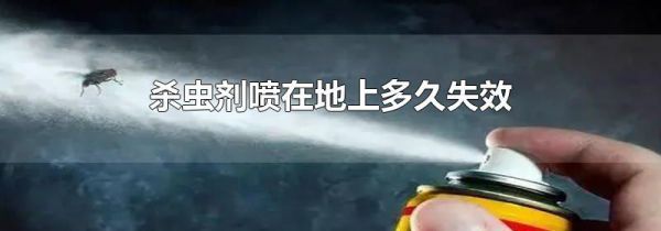 杀虫剂喷在地上多久失效