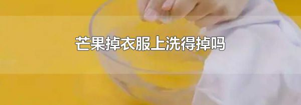 芒果掉衣服上洗得掉吗