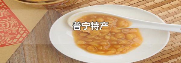 普宁特产