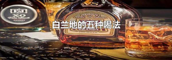 白兰地的五种喝法
