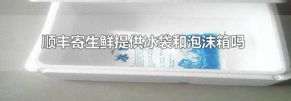 顺丰寄生鲜提供冰袋和泡沫箱吗