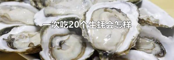 一次吃20个生蚝会怎样
