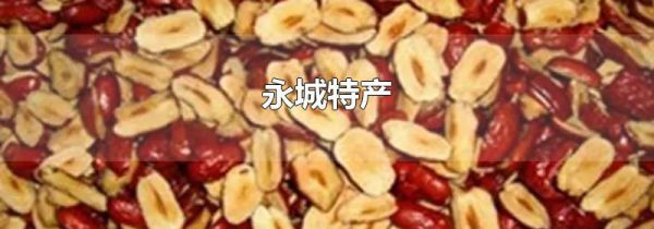 永城特产